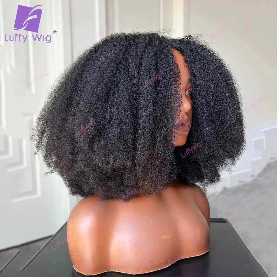 200 Density V Shape Wig For Women